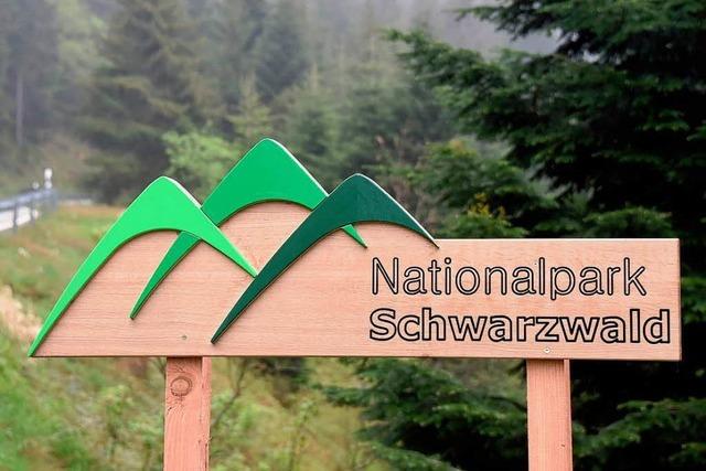 Prestigeprojekt ohne Nutzen: der Nationalpark Schwarzwald