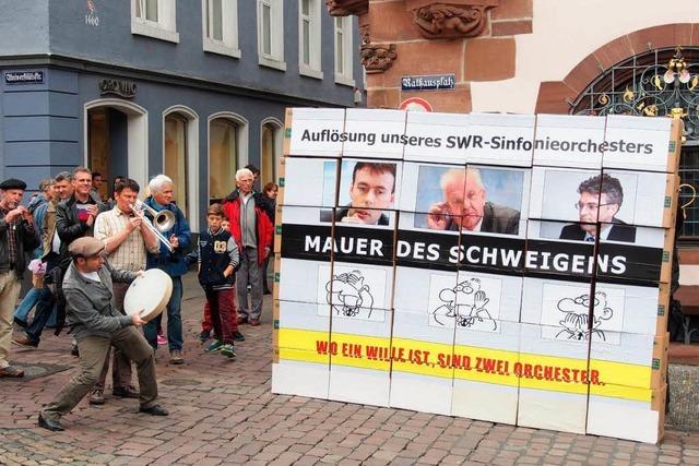 Jurist Schoch: Grne blockieren Stiftungslsung