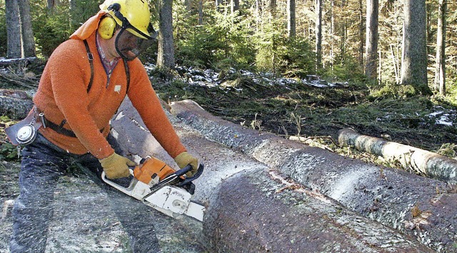 Fast 4600 Festmeter Holz haben Forstar...ldern rund um Hchenschwand geerntet.   | Foto: Horst B
