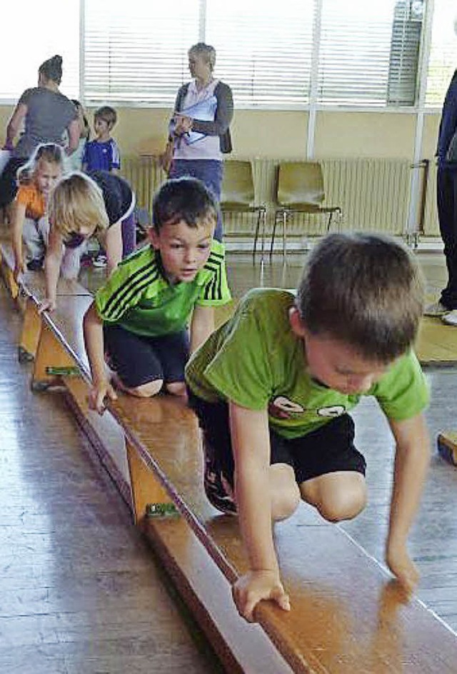 Altdorfer Grundschüler meisterten Übungen im Geräteturnen. | Foto: Privat Altdorfer Grundschüler meisterten Übungen im Geräteturnen. | Foto: Privat