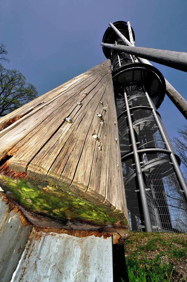 Das Holz ist ein Problem: In dem 100 J...hlen sich Pilze und Insekten wohl.     | Foto: Thomas Kunz