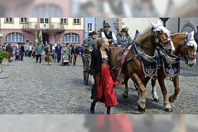 Traditioneller Schtzenaufzug in Endingen