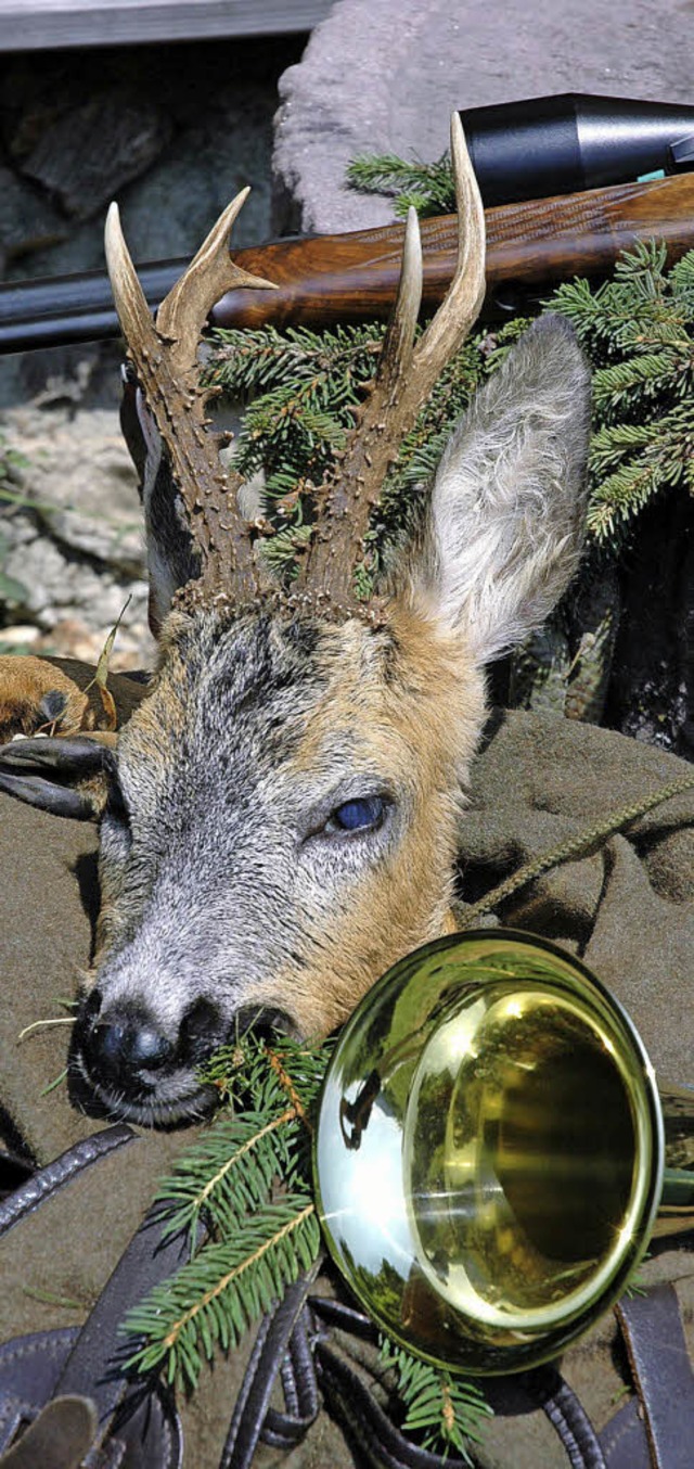 Halali: Die Jagd erfordert hohe Anforderungen und viel Verantwortung.   | Foto: Horst Dauenhauer