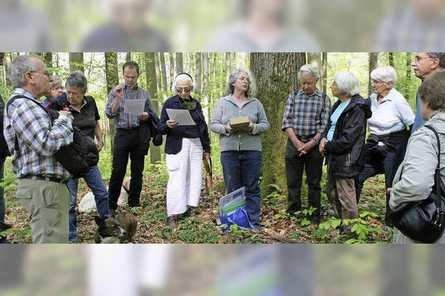 Spannender Rundgang zu den Hgelgrbern auf dem Katzenberg