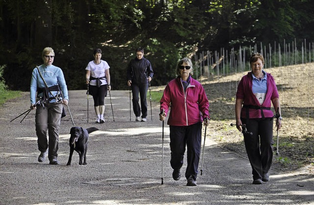 Auch wenn beim Nordic Walking-Lauf die...en, in den Wldern wurde es schattig.   | Foto: fotos: dieter fleig