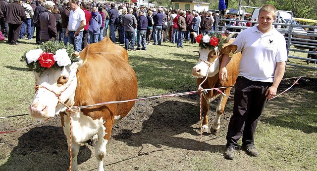 Felix Schtzle, Sohn des Vorsitzenden ... mit zwei hbsch geschmckten Rindern.  | Foto: Ulrike Jger