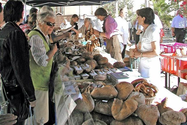 Schimpfen allein gengt nicht