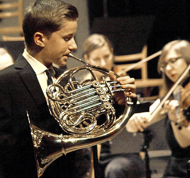 Das gut 80-kpfige Basler Sinfonieorch...i junge Ausnahmetalente aus der Region  | Foto: Karin Stckl-Steinebrunner
