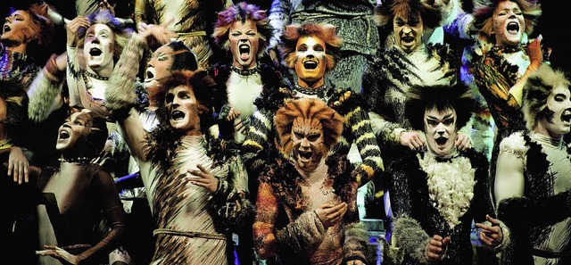 &#8222;Cats&#8220; gehrt zu den bekan...nzert einige Melodien daraus spielen.   | Foto:  Promo