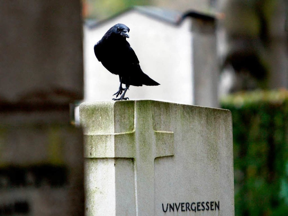 Wie kann man verhindern, dass Grabsteine aus Kinderarbeit stammen?  | Foto: dpa