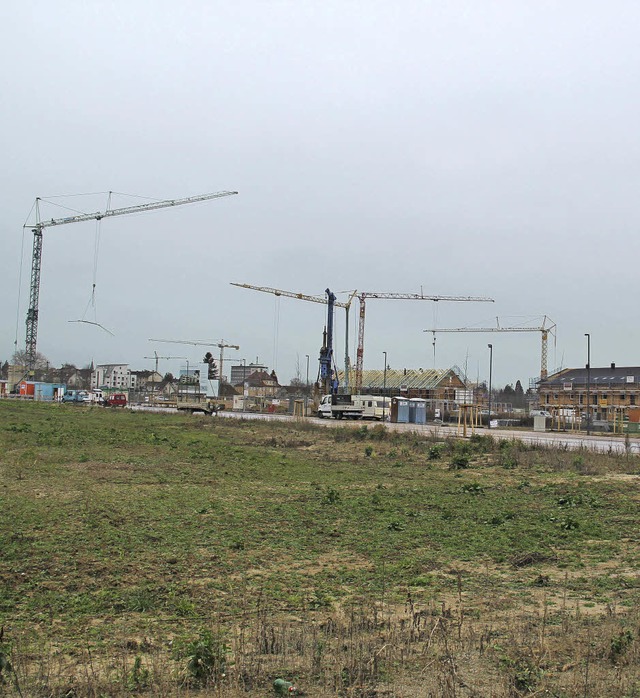 Im Baugebiet Kurgarten II in Bad Krozi... bezahlbaren Wohnungen bebaut werden.   | Foto: Alexander Huber