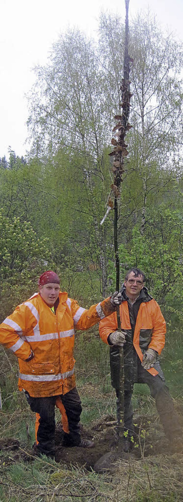 Baumpflanzung im Geopark Lenzkirch zj...igen Bestehens des Schwarzwaldvereinsl  | Foto: Privat