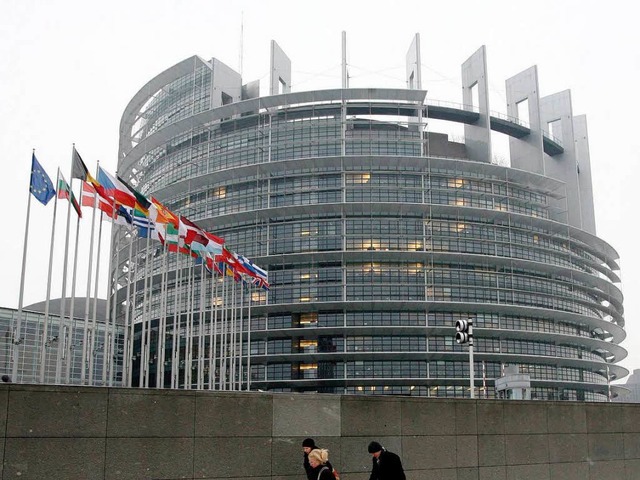 Das Parlament in Straburg. Direkt dav...e Fahnen der Mitgliedsstaaten im Wind.  | Foto: dpa