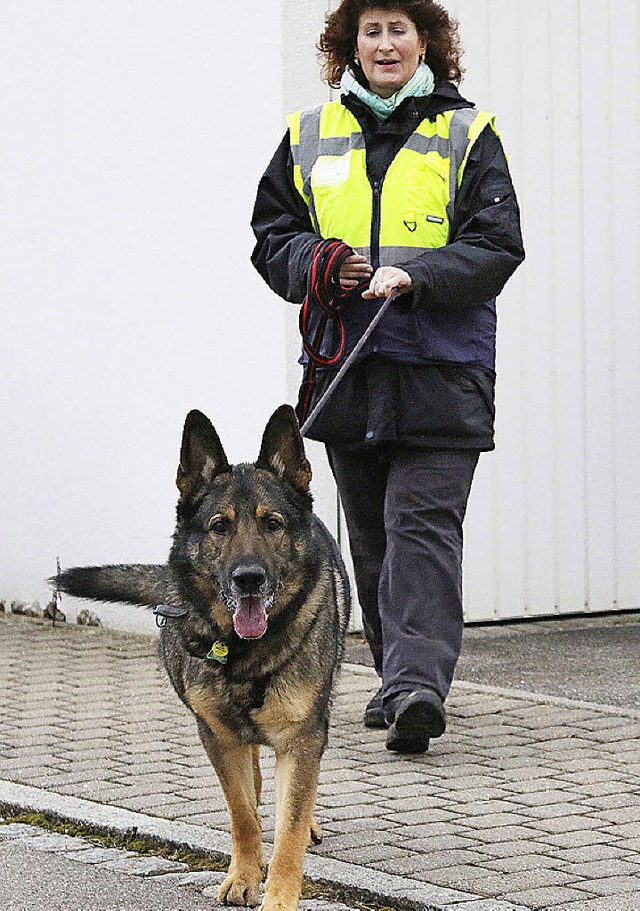 Suchhunde trainieren derzeit in Lffingen.   | Foto: Rieger