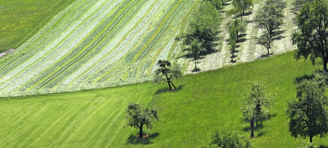 Patchwork-Landschaft bei Sexau  | Foto: Hans-Peter Ziesmer