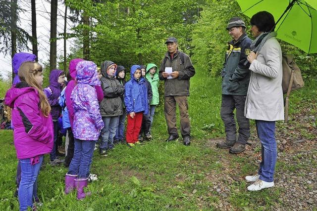 Gehlze sorgen fr eine neue Vielfalt