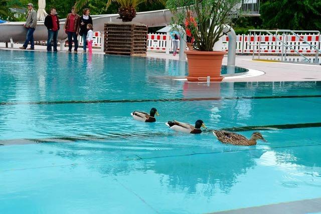 Btzingen: Das runderneuerte Freibad hat geffnet