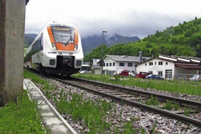 Schnelles Netz mit neuer Bahn - Münstertal bekommt Breitband-Internet