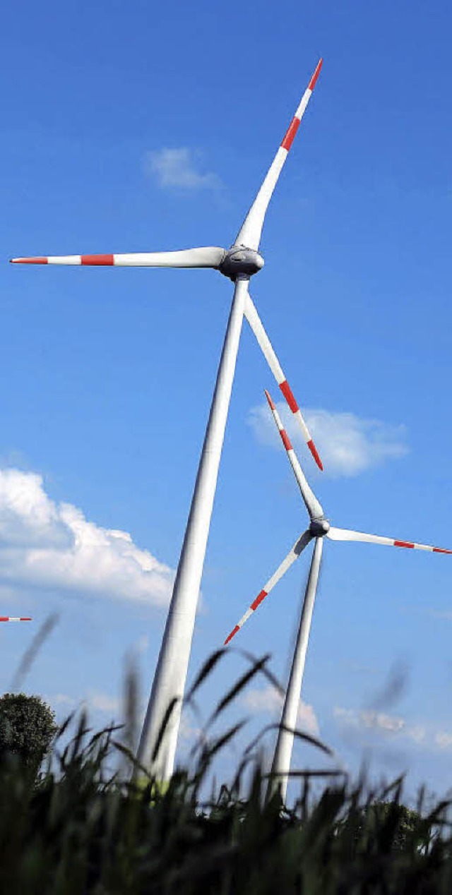 Die Plne fr  Windkraftanlagen  am Blauen erhitzt die Gemter in Schliengen.   | Foto: dapd