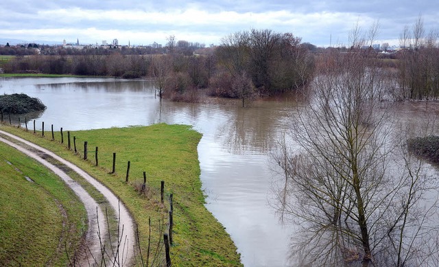 Flsse mit (zu)  viel Wasser: in der O...Hier die Kinzig bei Kehl im Jahr 2012.  | Foto: bri