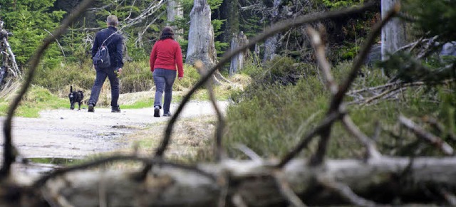 Das ist Natur: Im Nationalpark Nordsch... es egal, wenn Strme Bume umwerfen.   | Foto: dpa