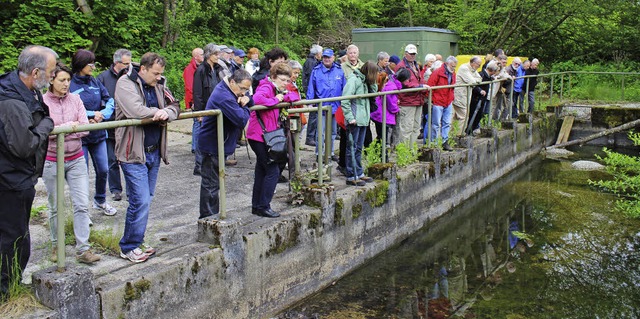 Die alte Panzerwaschanlage auf dem Lan...ung und Baumstmme zum Amphibienbiotop  | Foto: Alexandra Georg