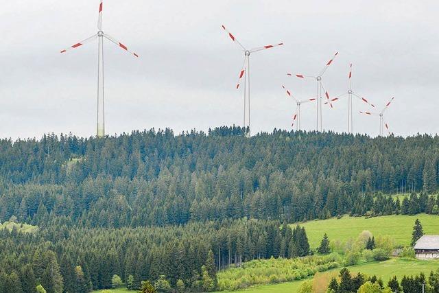 Schäfer kritisiert die wenigen Standorte für Windräder im Hochschwarzwald
