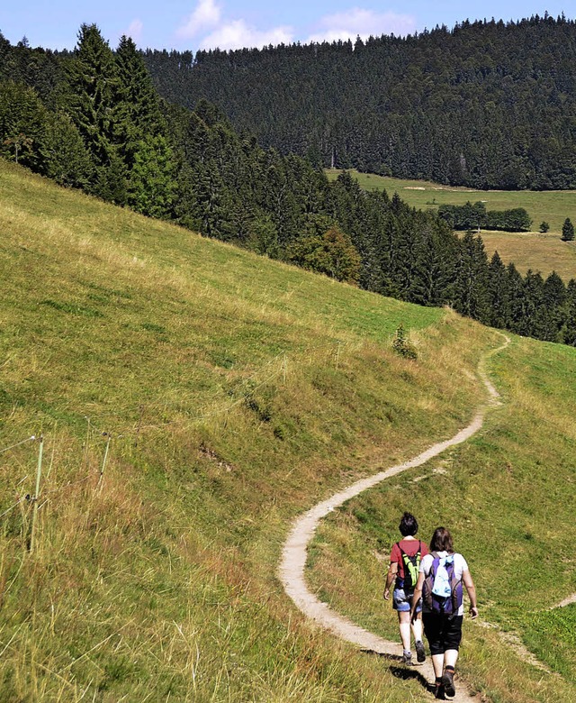 Wandern und genieen im Schwarzwald   | Foto:  Anita Fertl