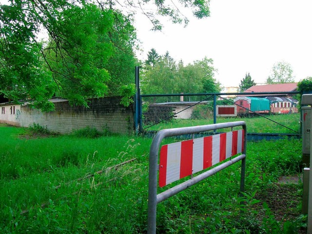 Wiese und Mauer in der Bildmitte weichen Parkpltzen fr Gewerbeschler.  | Foto: Sylvia-Karina  Jahn