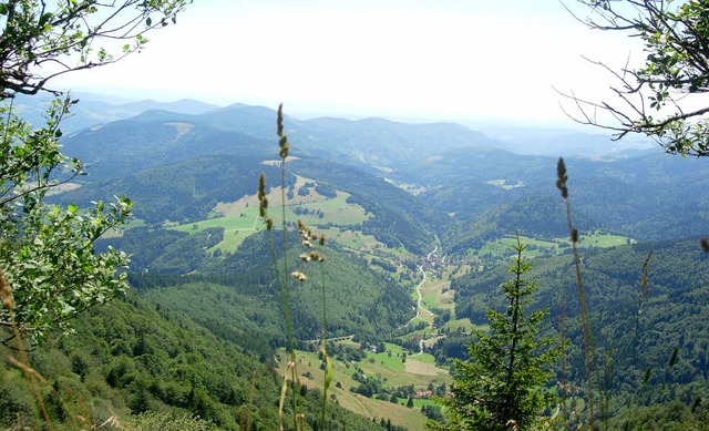 Der   Belchengipfel (1414 Meter) ist b...an der Nordseite geht es steil bergab.  | Foto: Angelika Schmidt