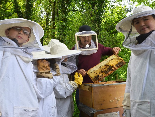 Imker Gerhard Drflinger zeigt den Kindern das Innere eines Bienenstocks.  | Foto: Beatrice Ehrlich