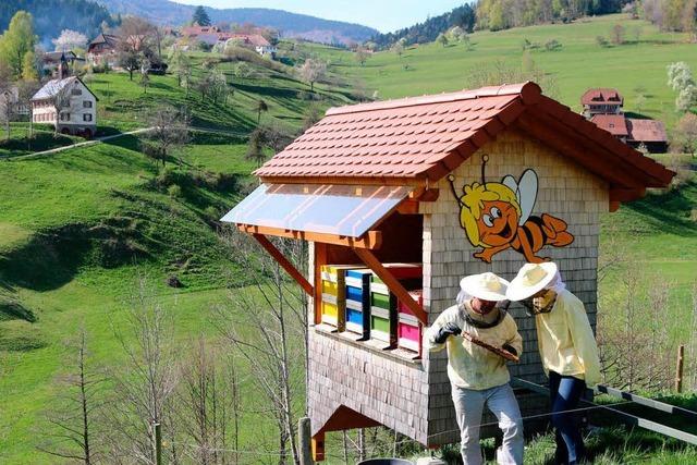 Bienen im Dienst der Wissenschaft