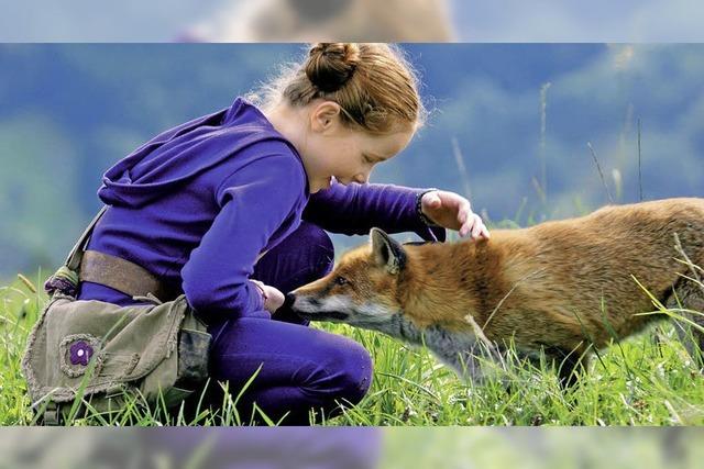 Kinderkino in Freiburg: „Der Fuchs und das Mdchen“
