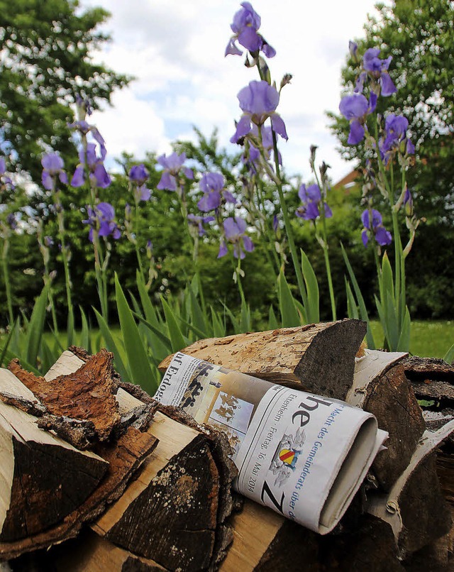 Es wird wieder Frhling, versprochen.  | Foto: Erika Sieberts