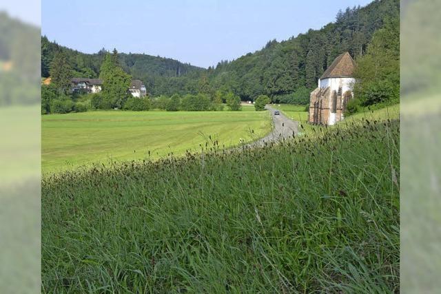 Vielleicht gehrt das Tennenbacher Tal ja allen?