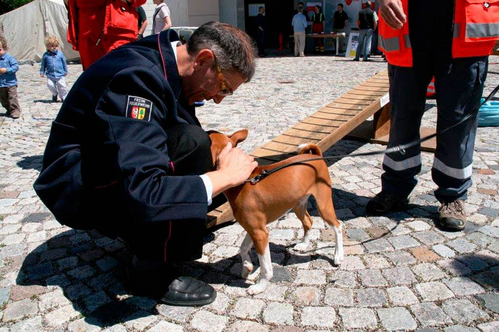 Richtig viel los war am Sonntag in Grwihl. Kein Wunder, schlielich wurde den Gsten auch richtig viel geboten.