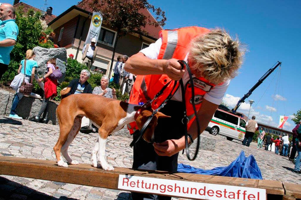 Richtig viel los war am Sonntag in Grwihl. Kein Wunder, schlielich wurde den Gsten auch richtig viel geboten.