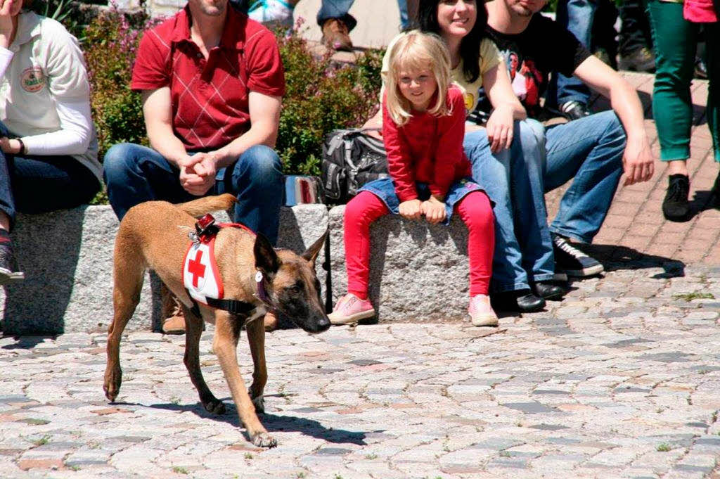 Richtig viel los war am Sonntag in Grwihl. Kein Wunder, schlielich wurde den Gsten auch richtig viel geboten.