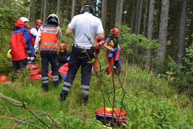 Gleitschirmfliegerin bleibt in Baum hngen und strzt ab