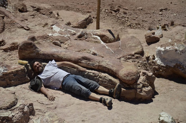 Gigantisch: Ein Mann posiert neben ein...hen an der Fundstelle in Argentinien.   | Foto: afp