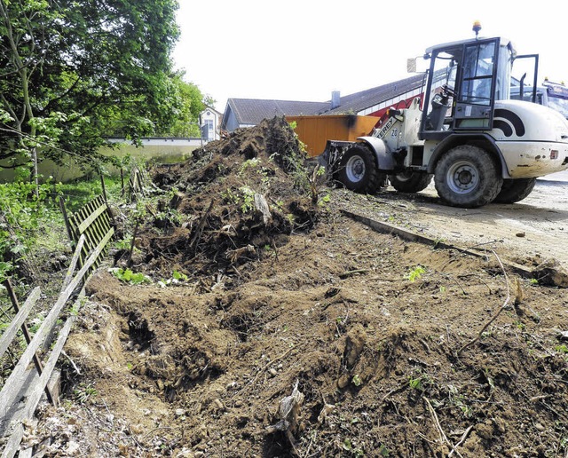 Kaum wiederzuerkennen ist der Parkplat...en Singvgeln als Brutsttte diente.    | Foto: Lendle