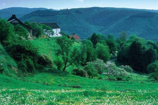 Die Luxemburger Ardennen