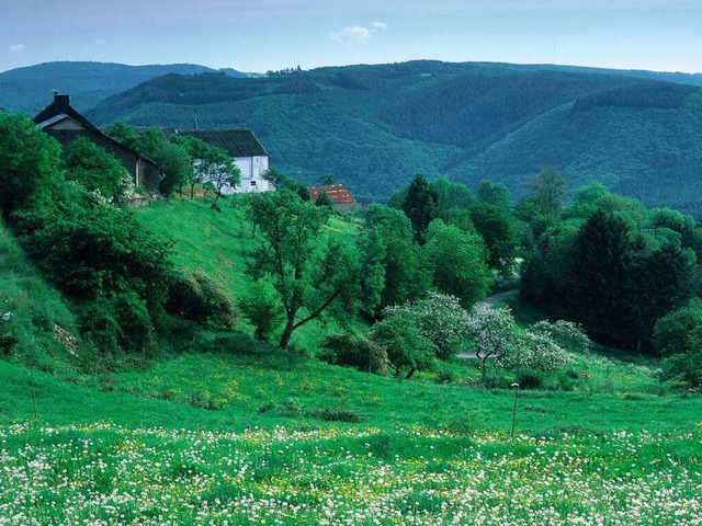 Gewundene Tler, dichte Waldflchen un...iche Geprge der Luxemburger Ardennen.  | Foto: O.N.T. Luxemburg