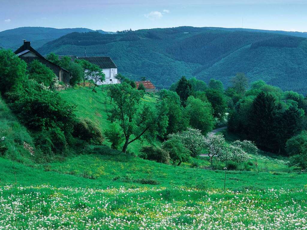 Die Luxemburger Ardennen - Urlaub Luxemburg - Badische Zeitung