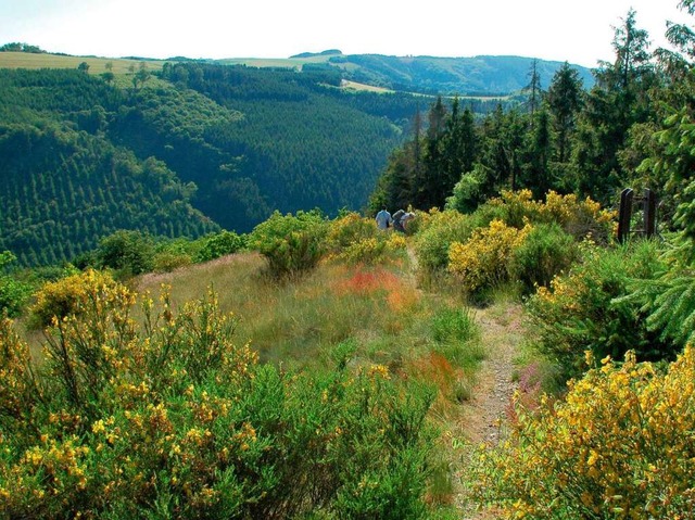 Gewundene Tler, dichte Waldflchen un...iche Geprge der Luxemburger Ardennen.  | Foto: O.N.T. Luxemburg