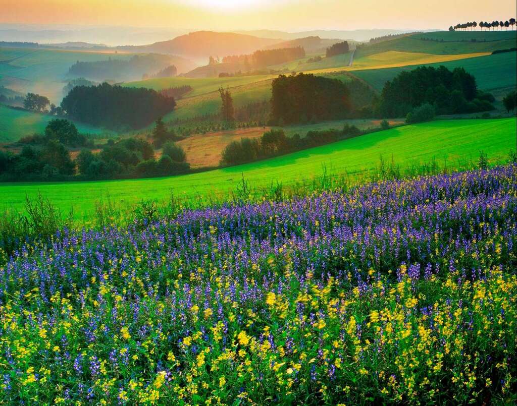 Luxemburg: ein Land zwischen Natur und Kultur.