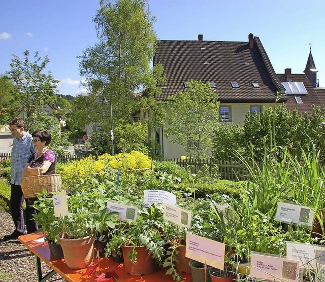 Reges Kommen und Gehen herrschte beim Pflanzenflohmarkt im Schrgarten.  | Foto: Jutta Binner-Schwarz