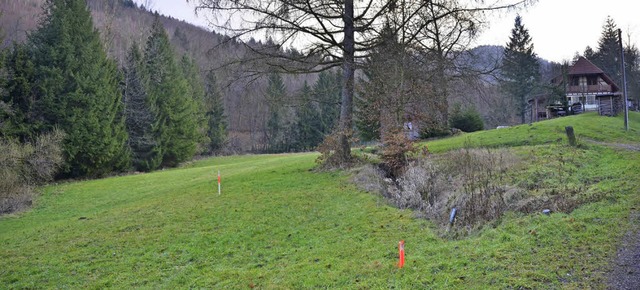 Noch ist der Blick in den Drlinbacher...erung &#8211; die Aussicht versperren.  | Foto: FI