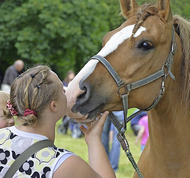 Tag des Pferdes   | Foto: Ruda