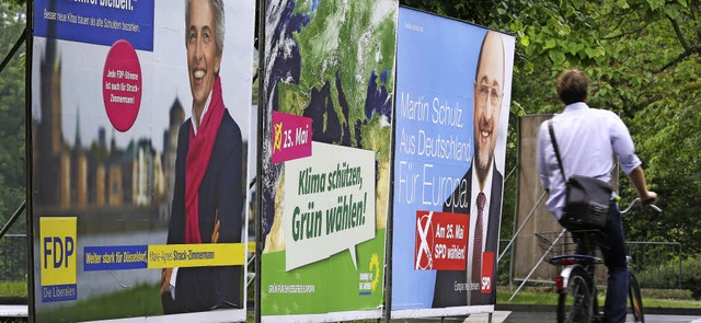 Blickfang: Wahlplakate fr die Europa- und Kommunalwahl  | Foto: dpa